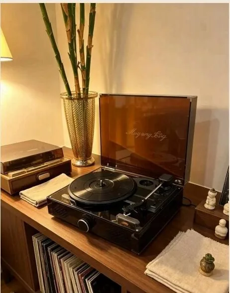 oldvox C-105 transparent acrylic vinyl player